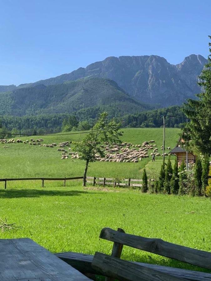 Appartamento Bacowka Na Bundowkach Zakopane Esterno foto